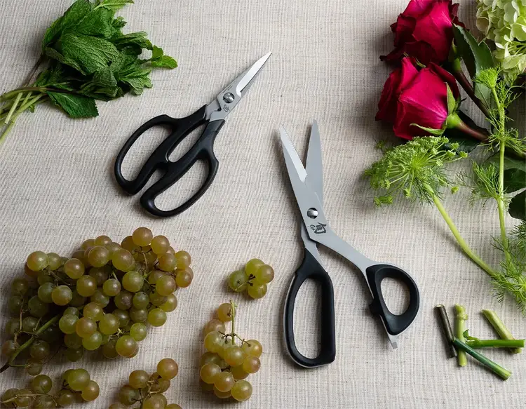 Two shears lie between a boquet of roses and a bunch of grapes.